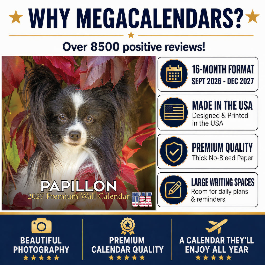 Papillon Wall Calendar 2027 - 12" x 12" Monthly Intelligent Butterfly Ear & Graceful Toy Spaniel Calendar