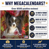 Papillon Wall Calendar 2027 - 12" x 12" Monthly Intelligent Butterfly Ear & Graceful Toy Spaniel Calendar