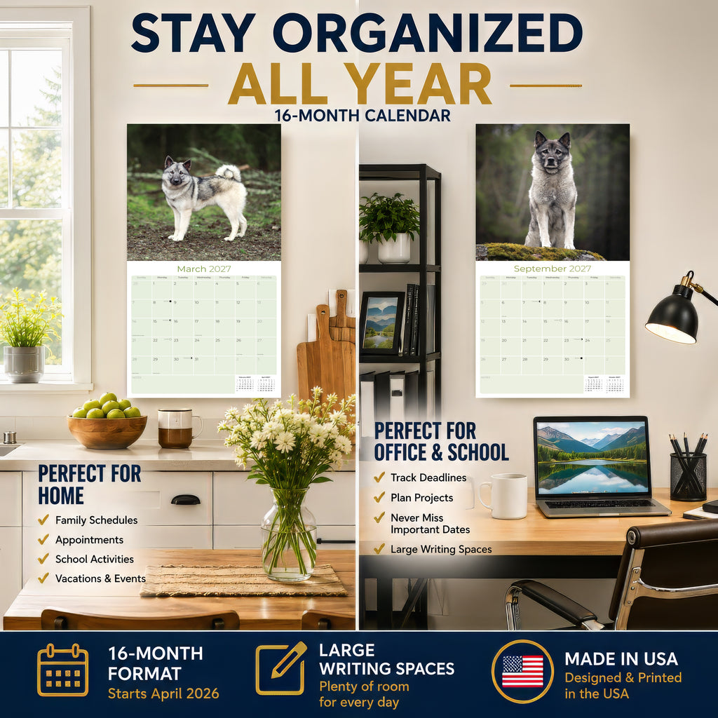 Norwegian Elkhound Wall Calendar 2027 - 12" x 12" Monthly Bold Silver-Grey & Viking Heritage Hound Calendar