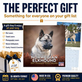 Norwegian Elkhound Wall Calendar 2027 - 12" x 12" Monthly Bold Silver-Grey & Viking Heritage Hound Calendar