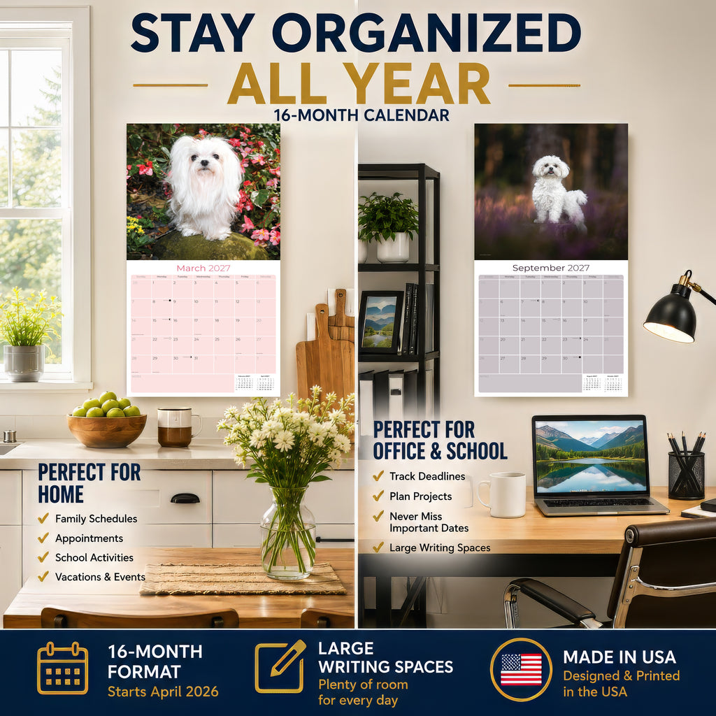 Maltese Wall Calendar 2027 - 12" x 12" Monthly Snow-White Silk Toy & Affectionate Lap Dog Calendar