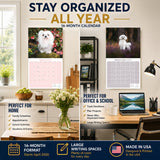 Maltese Wall Calendar 2027 - 12" x 12" Monthly Snow-White Silk Toy & Affectionate Lap Dog Calendar