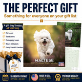 Maltese Wall Calendar 2027 - 12" x 12" Monthly Snow-White Silk Toy & Affectionate Lap Dog Calendar
