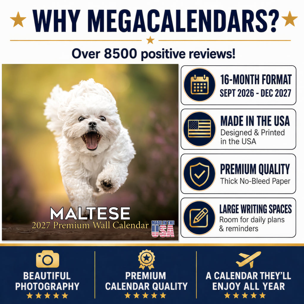 Maltese Wall Calendar 2027 - 12" x 12" Monthly Snow-White Silk Toy & Affectionate Lap Dog Calendar