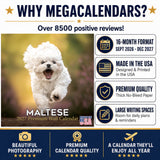 Maltese Wall Calendar 2027 - 12" x 12" Monthly Snow-White Silk Toy & Affectionate Lap Dog Calendar