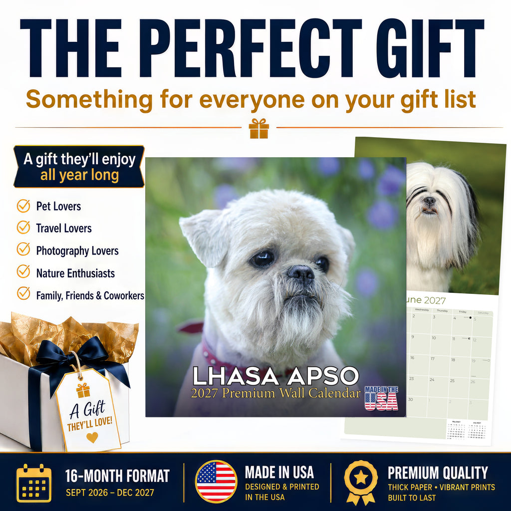 Lhasa Apso Wall Calendar 2027 - 12" x 12" Monthly Regal Long-Haired & Sentinel Tibetan Companion Calendar