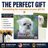 Lhasa Apso Wall Calendar 2027 - 12" x 12" Monthly Regal Long-Haired & Sentinel Tibetan Companion Calendar