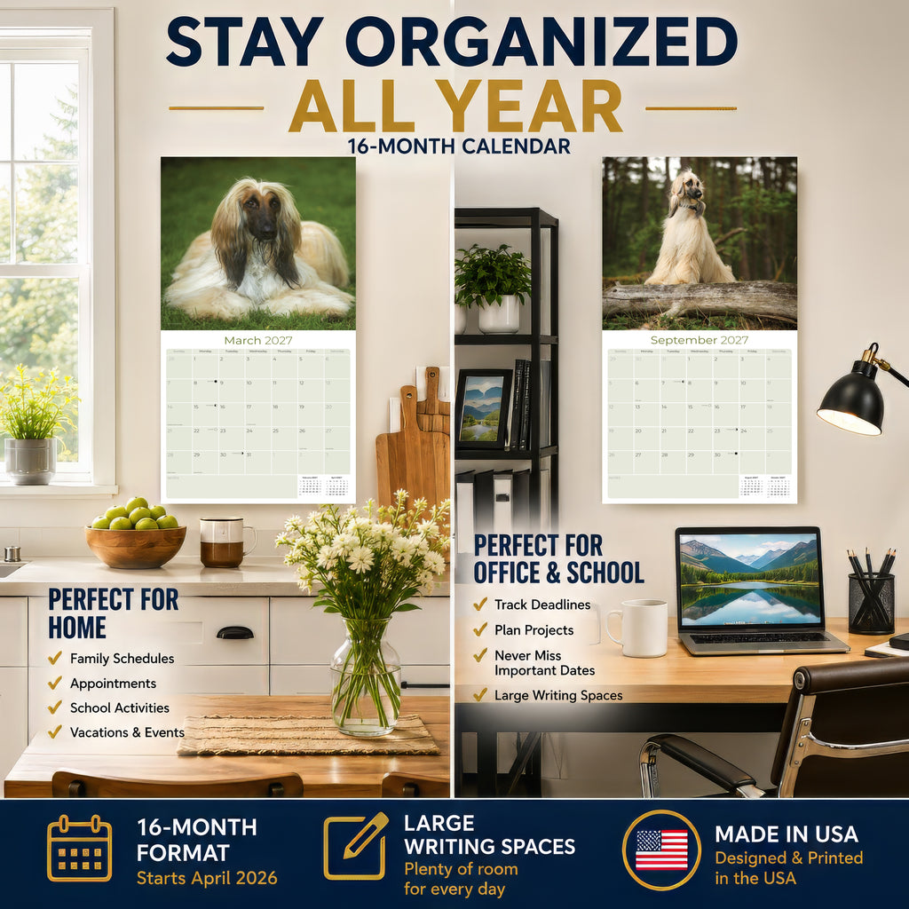Afghan Hound Wall Calendar 2027 - 12" x 12" Monthly Dog Breed Calendar