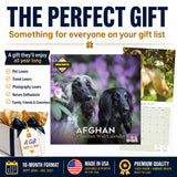 Afghan Hound Wall Calendar 2027 - 12" x 12" Monthly Dog Breed Calendar