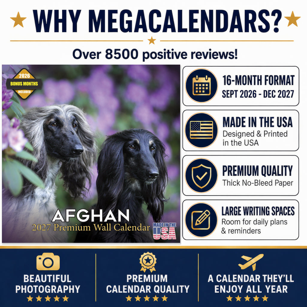 Afghan Hound Wall Calendar 2027 - 12" x 12" Monthly Dog Breed Calendar