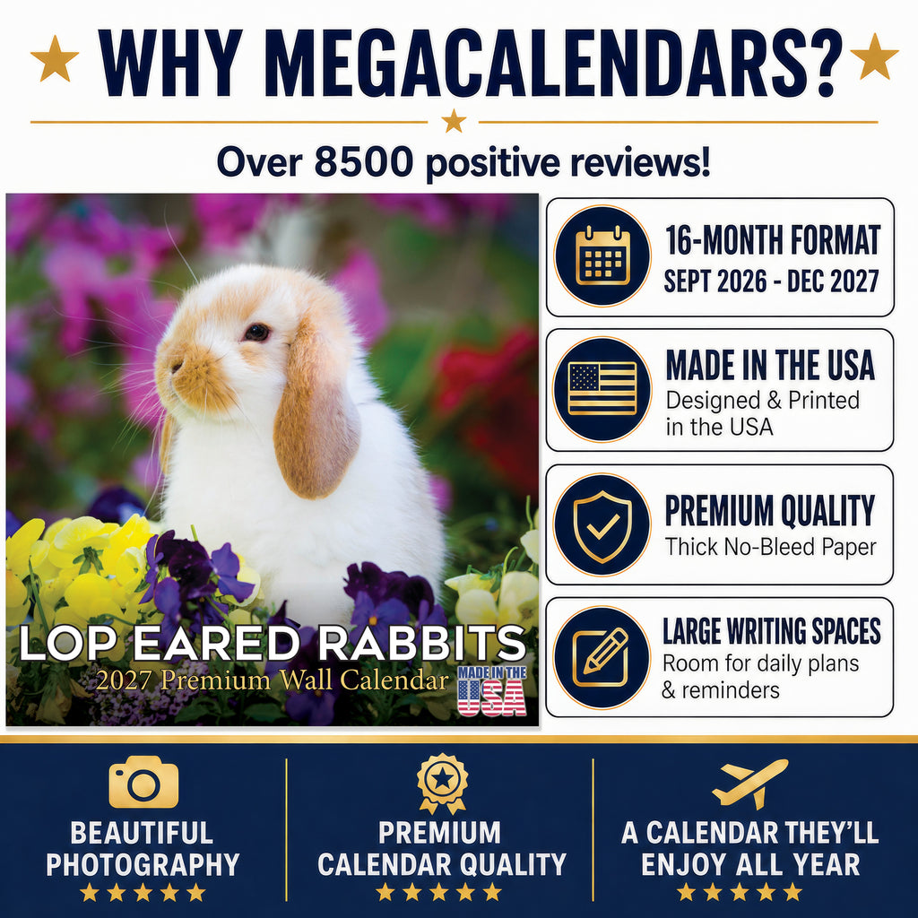Lop Eared Rabbit Wall Calendar 2027 - 12" x 12" Monthly Fluffy Drop-Eared Bunnies & Cute Pet Rabbit Calendar