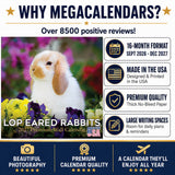 Lop Eared Rabbit Wall Calendar 2027 - 12" x 12" Monthly Fluffy Drop-Eared Bunnies & Cute Pet Rabbit Calendar