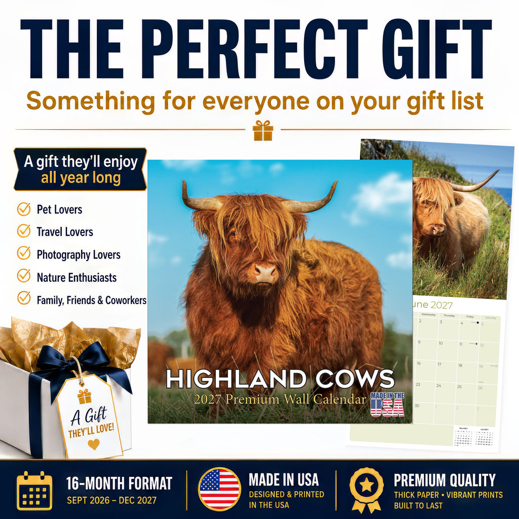 Highland Cows Wall Calendar 2027 - 12" x 12" Monthly Rustic Cattle & Scottish Highland Cow Calendar