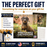 Wirehaired Dachshund Wall Calendar 2027 - 12" x 12" Monthly Clever & Gritty Wire Coat Hound Breed Calendar