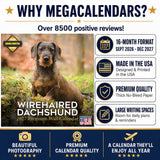 Wirehaired Dachshund Wall Calendar 2027 - 12" x 12" Monthly Clever & Gritty Wire Coat Hound Breed Calendar