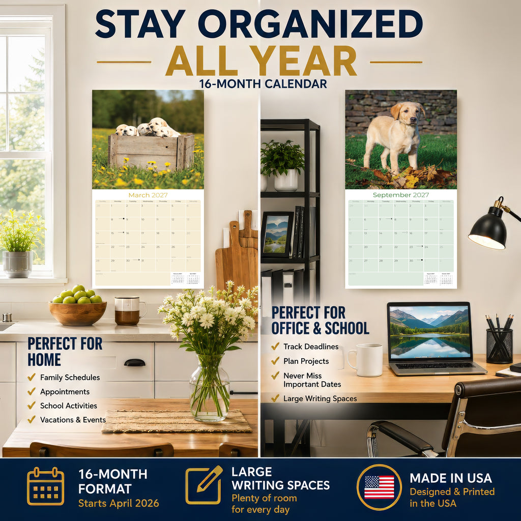 Yellow Labrador Retriever Puppies Wall Calendar 2027 - 12" x 12" Monthly Adorable & Playful Yellow Lab Puppy Breed Calendar