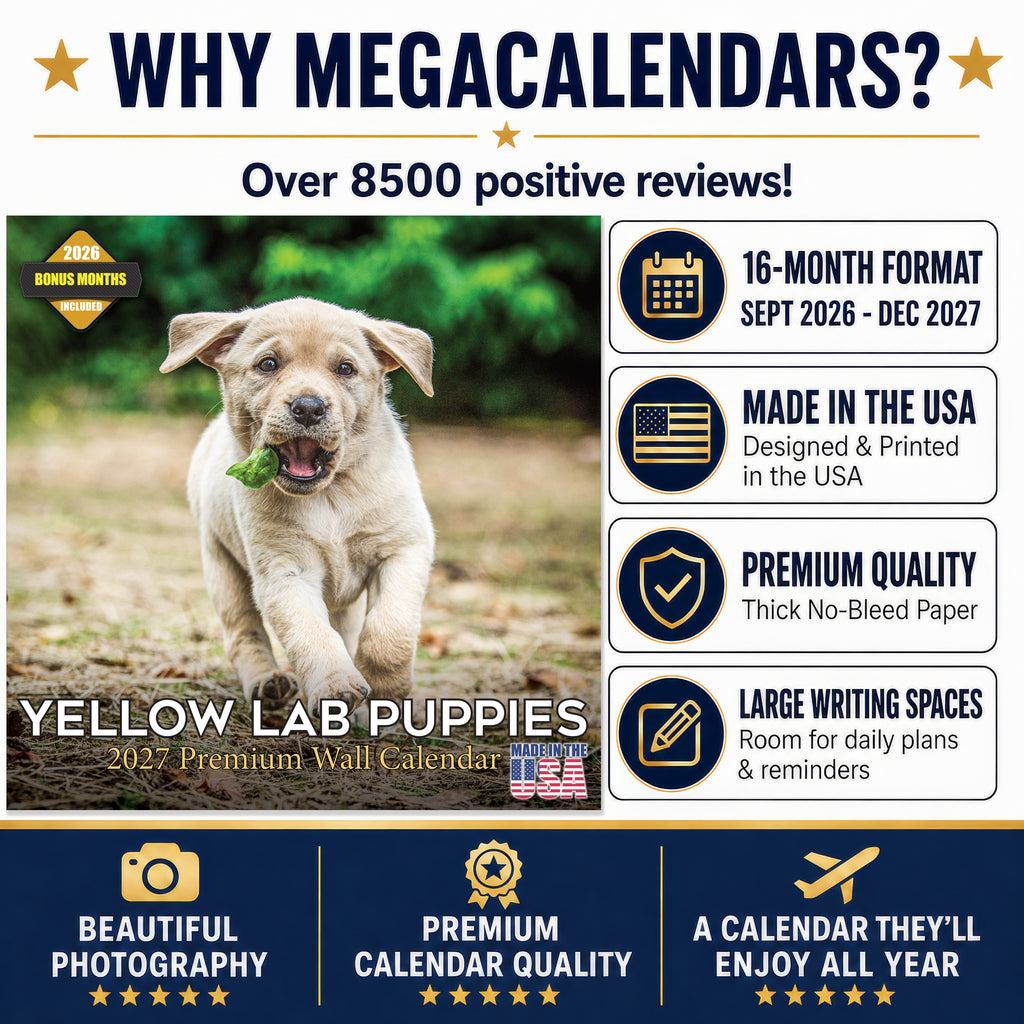 Yellow Labrador Retriever Puppies Wall Calendar 2027 - 12" x 12" Monthly Adorable & Playful Yellow Lab Puppy Breed Calendar