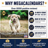Yellow Labrador Retriever Puppies Wall Calendar 2027 - 12" x 12" Monthly Adorable & Playful Yellow Lab Puppy Breed Calendar