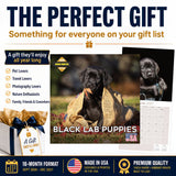 Black Labrador Puppies Wall Calendar 2027 - 12" x 12" Monthly Heartwarming Black Lab Puppy Art Calendar