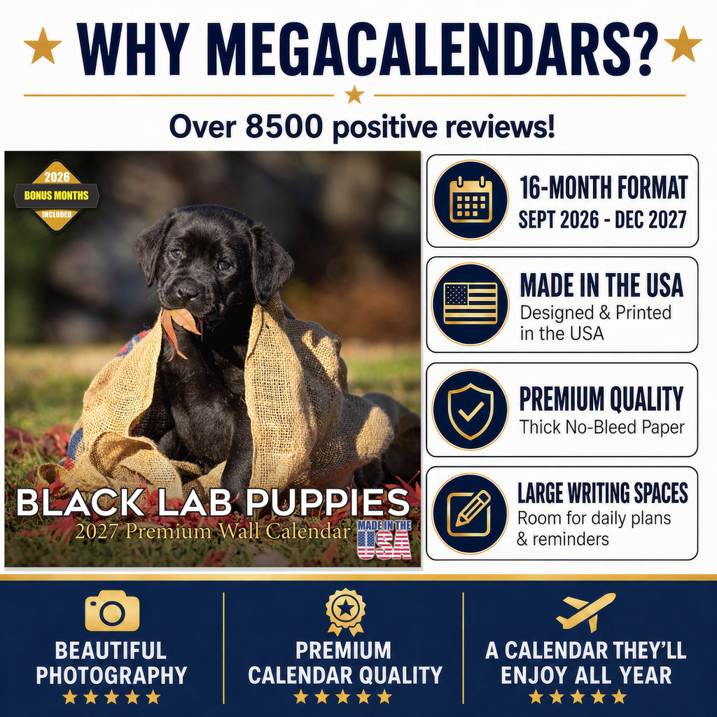 Black Labrador Puppies Wall Calendar 2027 - 12" x 12" Monthly Heartwarming Black Lab Puppy Art Calendar