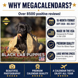 Black Labrador Puppies Wall Calendar 2027 - 12" x 12" Monthly Heartwarming Black Lab Puppy Art Calendar