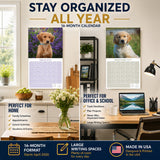 Golden Retriever Puppies Wall Calendar 2027 - 12" x 12" Monthly Adorable Golden Retriever Puppy Companion Calendar