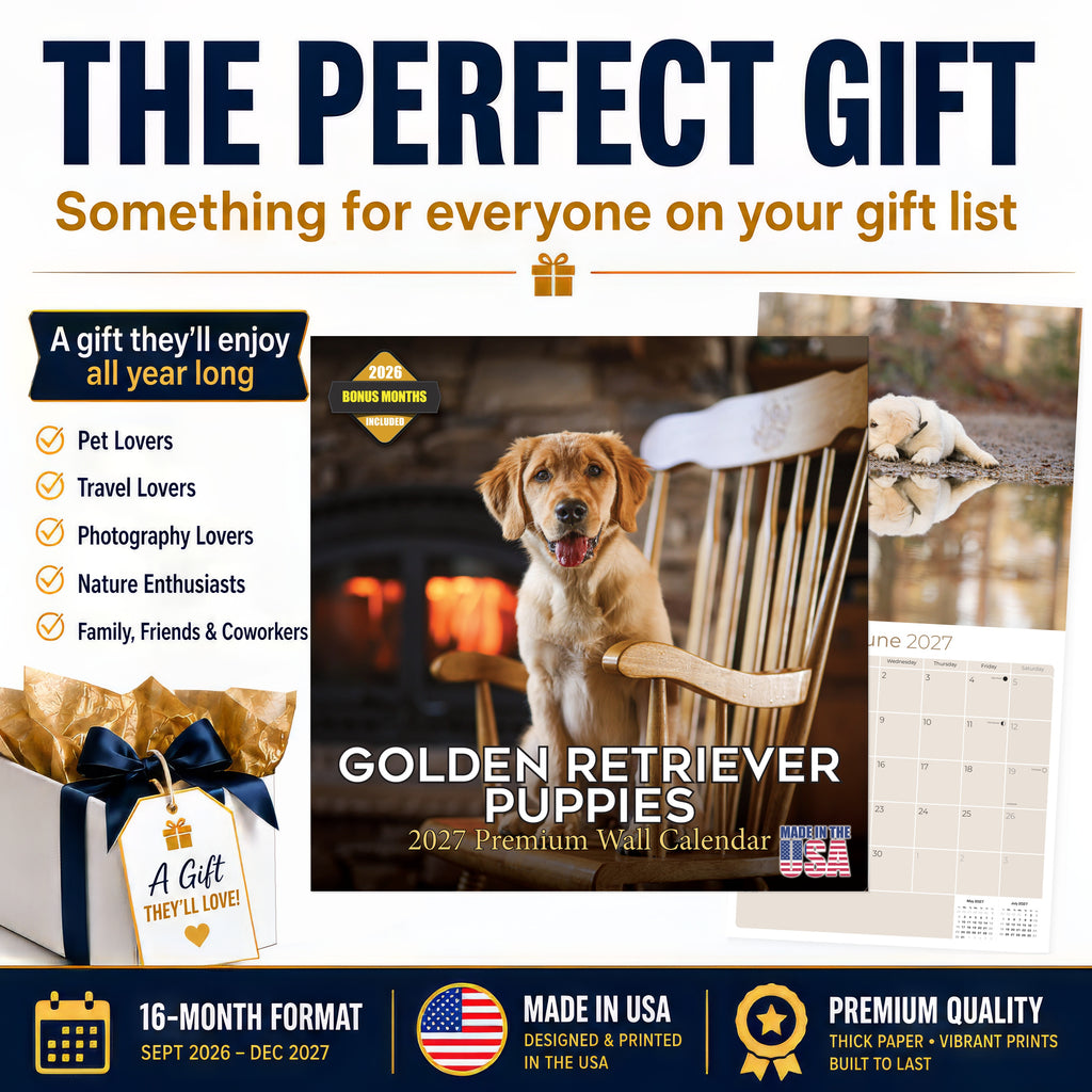 Golden Retriever Puppies Wall Calendar 2027 - 12" x 12" Monthly Adorable Golden Retriever Puppy Companion Calendar