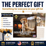Golden Retriever Puppies Wall Calendar 2027 - 12" x 12" Monthly Adorable Golden Retriever Puppy Companion Calendar