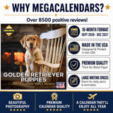 Golden Retriever Puppies Wall Calendar 2027 - 12" x 12" Monthly Adorable Golden Retriever Puppy Companion Calendar