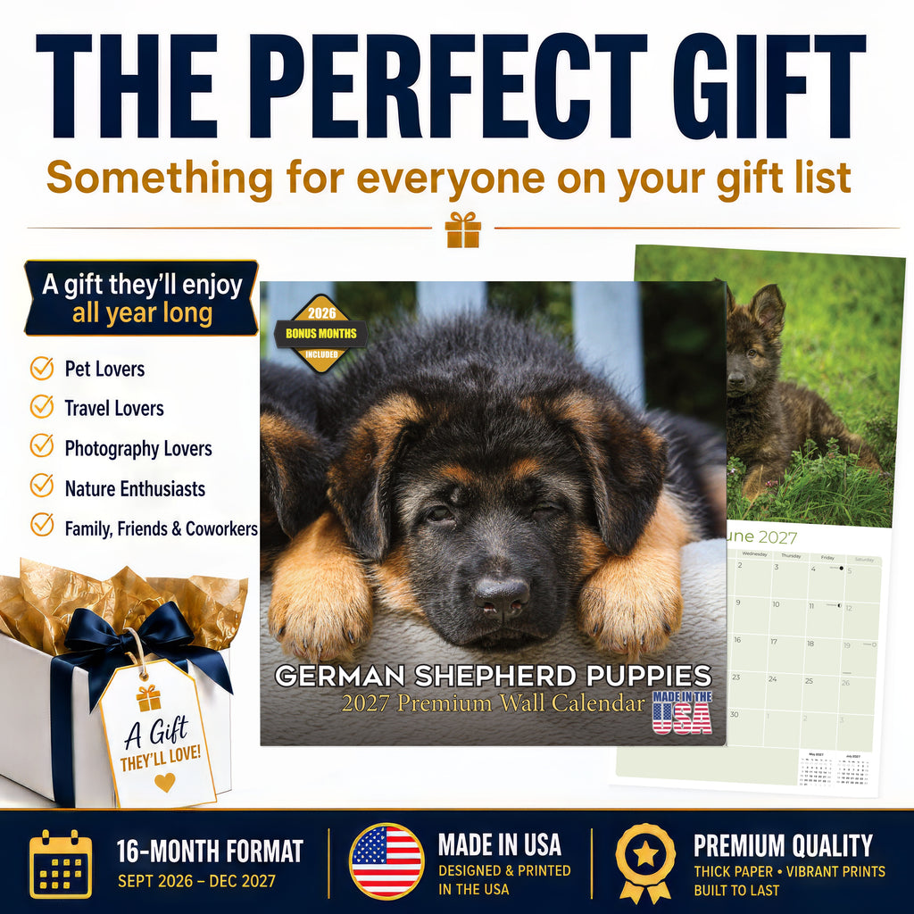 German Shepherd Puppies Wall Calendar 2027 - 12" x 12" Monthly Heartwarming GSD Puppy & Fluffy Shepherd Cub Calendar