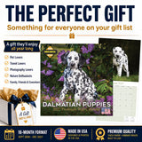 Dalmatian Puppies Wall Calendar 2027 - 12" x 12" Monthly Heartwarming Spotted Dalmatian Puppy Art Calendar