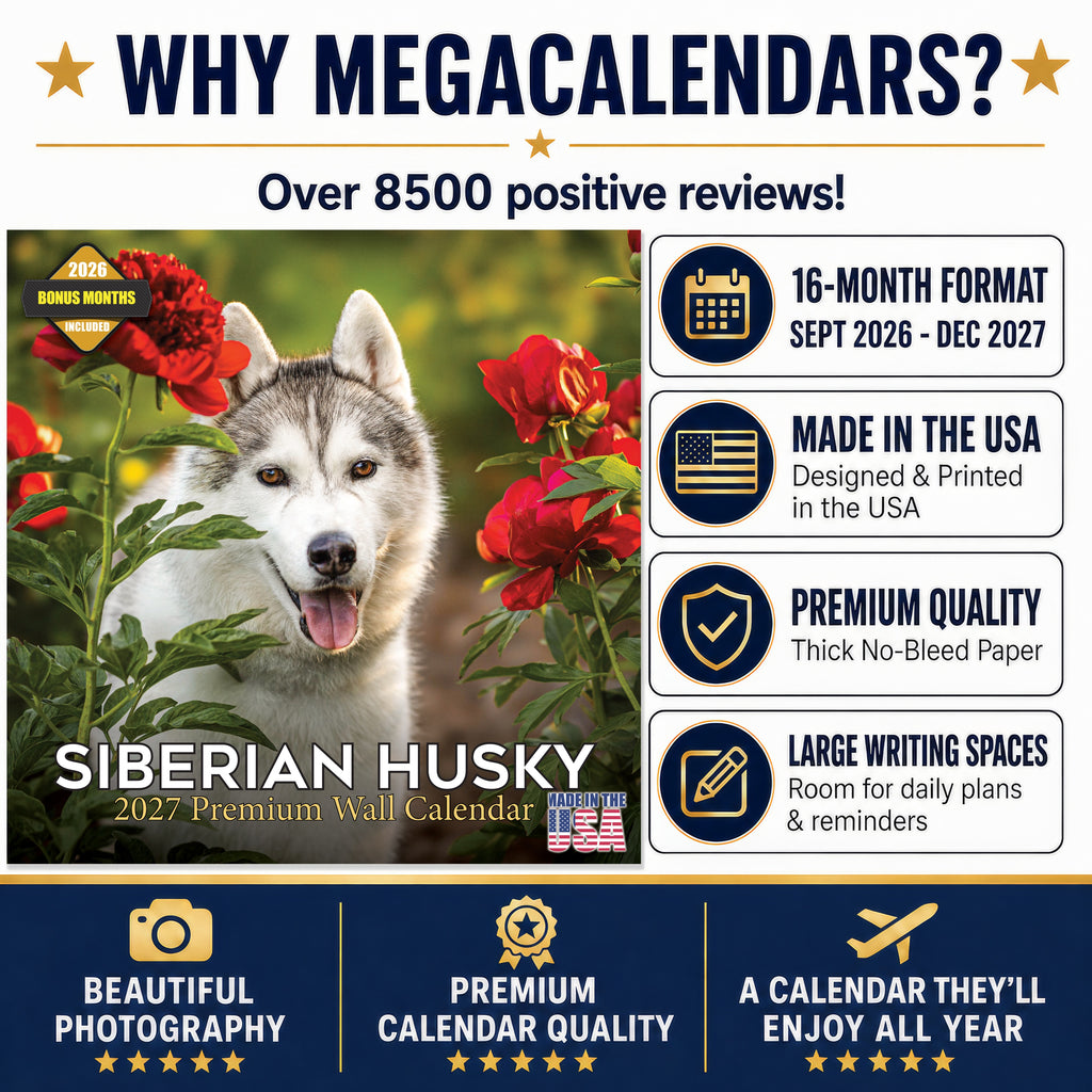 Siberian Husky Wall Calendar 2027 - 12" x 12" Monthly Athletic & Adventurous Husky Dog Breed Calendar