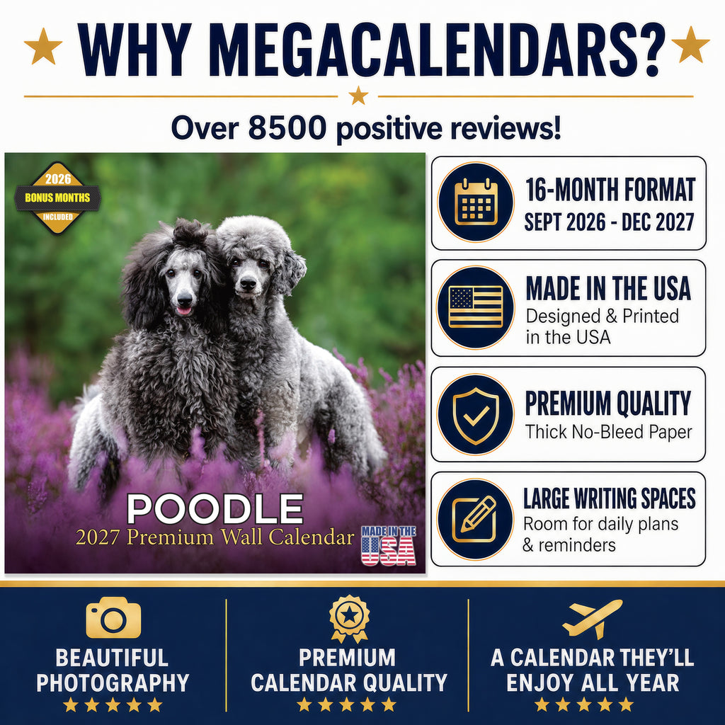 Poodle Wall Calendar 2027 - 12" x 12" Monthly Intelligent & Elegant Standard Poodle Breed Calendar