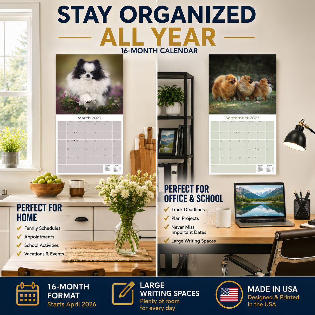 Pomeranian Wall Calendar 2027 - 12" x 12" Monthly Spirited & Fluffy Pom Pom Toy Dog Breed Calendar