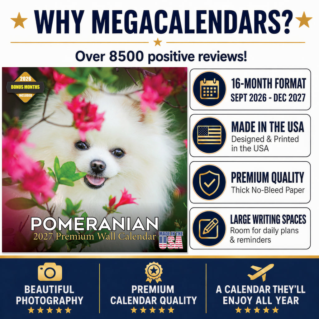 Pomeranian Wall Calendar 2027 - 12" x 12" Monthly Spirited & Fluffy Pom Pom Toy Dog Breed Calendar
