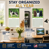 Newfoundland Wall Calendar 2027 - 12" x 12" Monthly Loyal Life-Saving & Plush Newfie Giant Calendar
