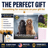 Newfoundland Wall Calendar 2027 - 12" x 12" Monthly Loyal Life-Saving & Plush Newfie Giant Calendar