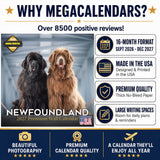 Newfoundland Wall Calendar 2027 - 12" x 12" Monthly Loyal Life-Saving & Plush Newfie Giant Calendar