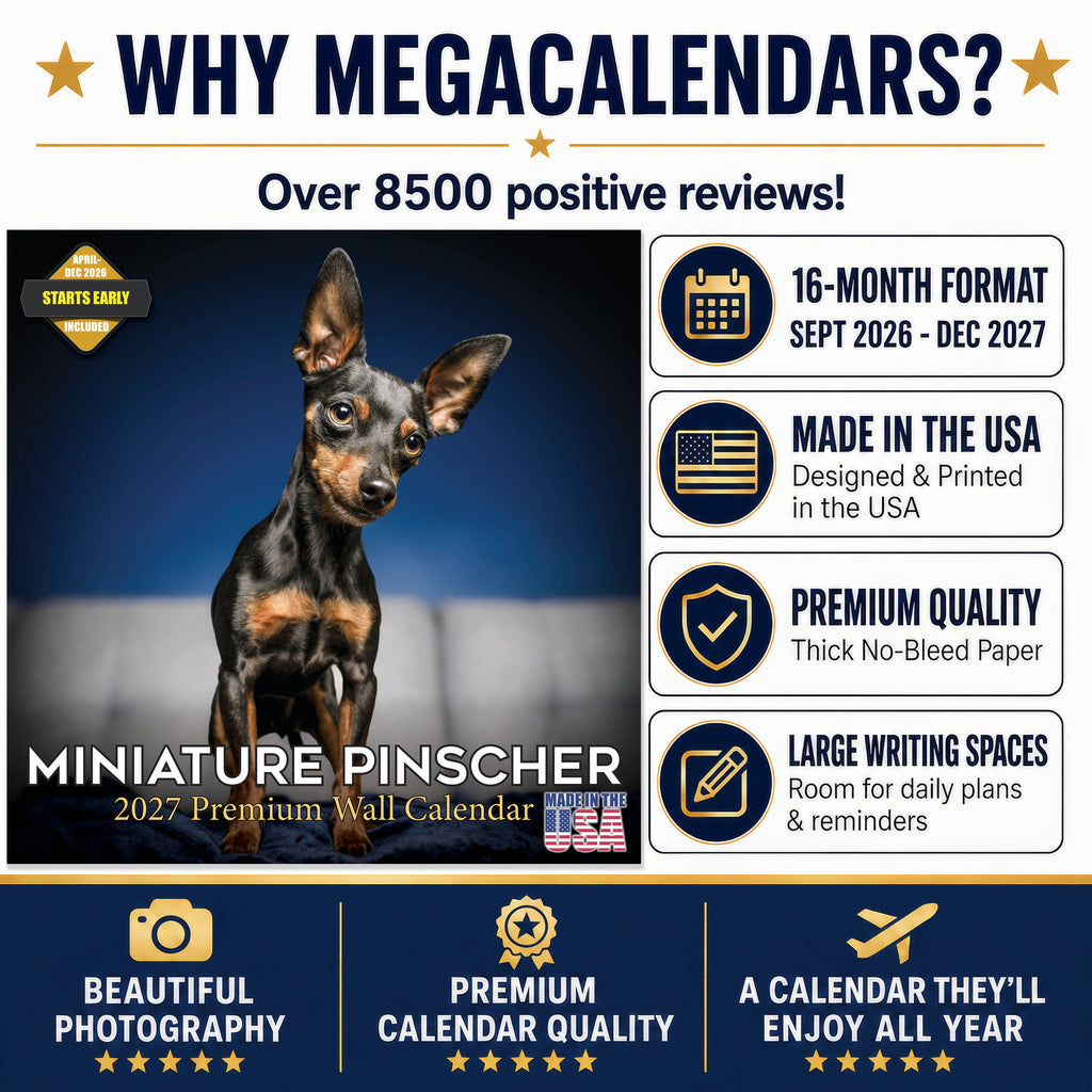Miniature Pinscher Wall Calendar 2027 - 12" x 12" Monthly Spirited Elegant King of Toys Dog Breed Calendar