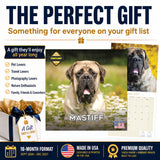 Mastiff Wall Calendar 2027 - 12" x 12" Monthly Courageous Giant & Heavy Guard Dog Breed Calendar