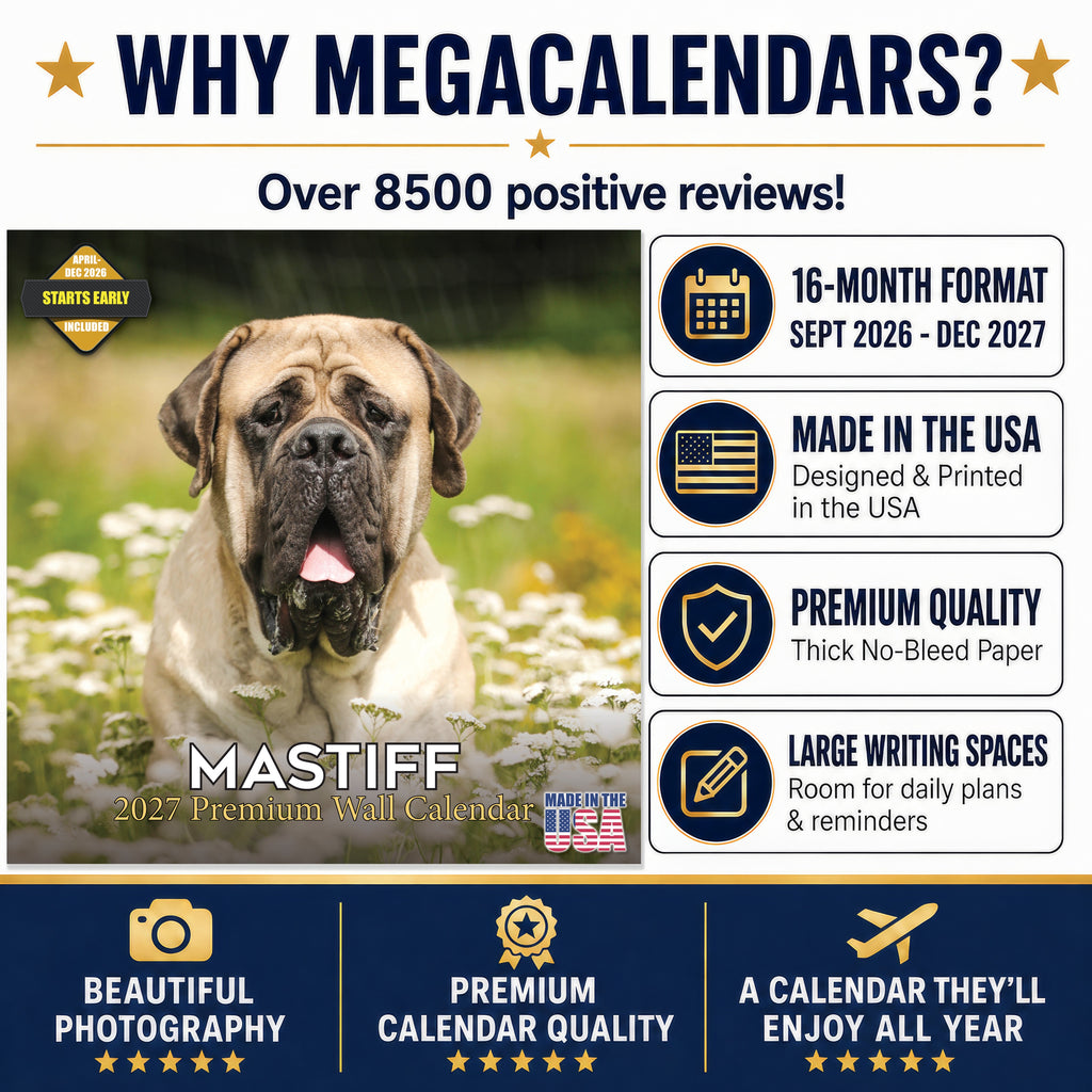 Mastiff Wall Calendar 2027 - 12" x 12" Monthly Courageous Giant & Heavy Guard Dog Breed Calendar