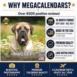 Mastiff Wall Calendar 2027 - 12" x 12" Monthly Courageous Giant & Heavy Guard Dog Breed Calendar