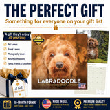 Labradoodle Wall Calendar 2027 - 12" x 12" Monthly Shaggy Teddy-Bear & Sweet Designer Cocker Poodle Hybrid Calendar