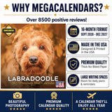 Labradoodle Wall Calendar 2027 - 12" x 12" Monthly Shaggy Teddy-Bear & Sweet Designer Cocker Poodle Hybrid Calendar