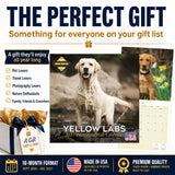Yellow Labrador Retriever Wall Calendar 2027 - 12" x 12" Monthly Friendly & Devoted Yellow Lab Sporting Breed Calendar