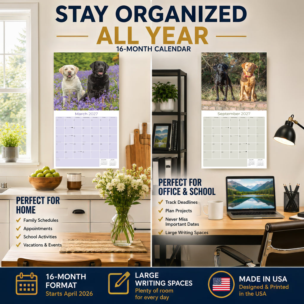 Labrador Retriever Mixed Wall Calendar 2027 - 12" x 12" Monthly Loyal Lab Crossbreeds & Mixed Heritage Mutts Calendar