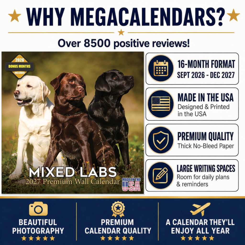 Labrador Retriever Mixed Wall Calendar 2027 - 12" x 12" Monthly Loyal Lab Crossbreeds & Mixed Heritage Mutts Calendar