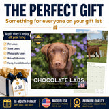 Chocolate Labrador Retriever Wall Calendar 2027 - 12" x 12" Monthly Loyal Chocolate Lab Sporting Breed Calendar