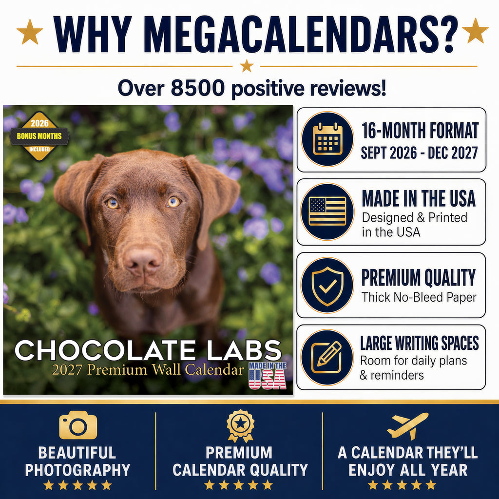 Chocolate Labrador Retriever Wall Calendar 2027 - 12" x 12" Monthly Loyal Chocolate Lab Sporting Breed Calendar