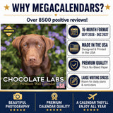Chocolate Labrador Retriever Wall Calendar 2027 - 12" x 12" Monthly Loyal Chocolate Lab Sporting Breed Calendar